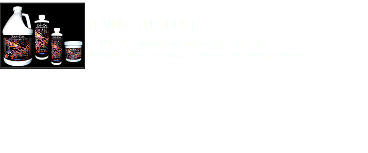  Featured Product﷯ ZAP-CAL : Aquarium Equipment De-Scaler Instantly remove precipitated calcium, scale and lime deposits. 